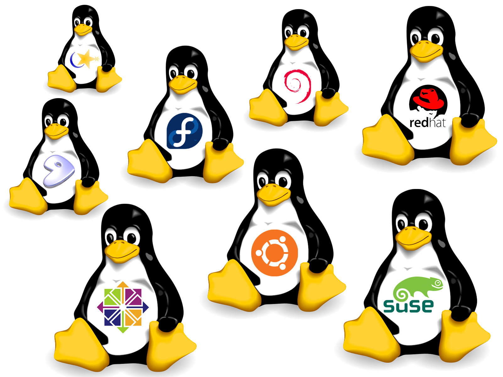 computer operating system penguin